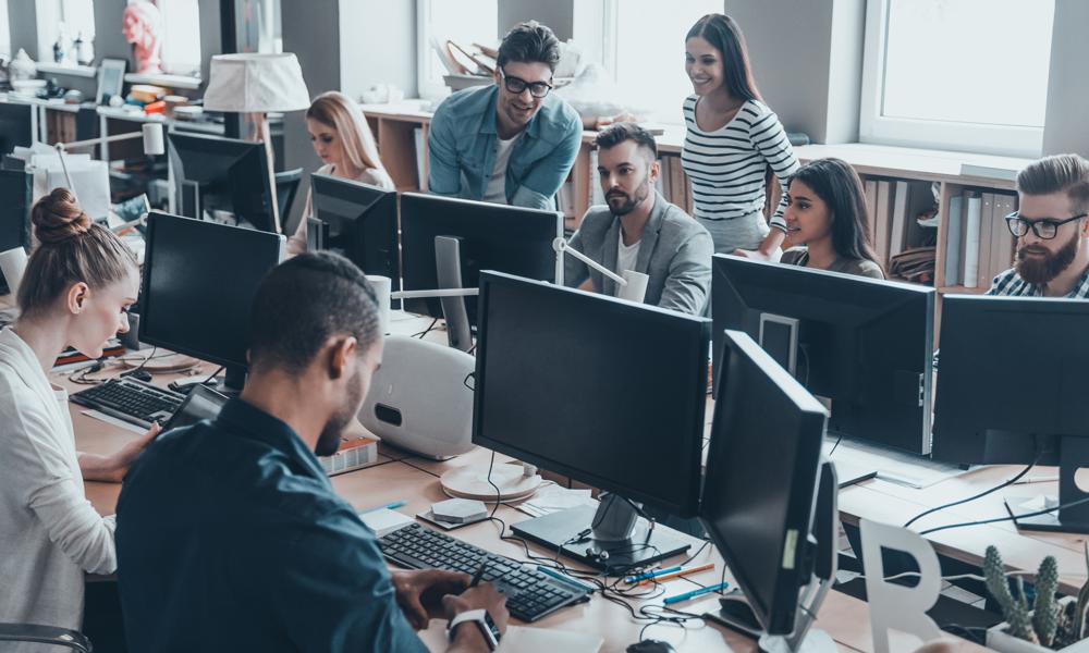 Web Developers