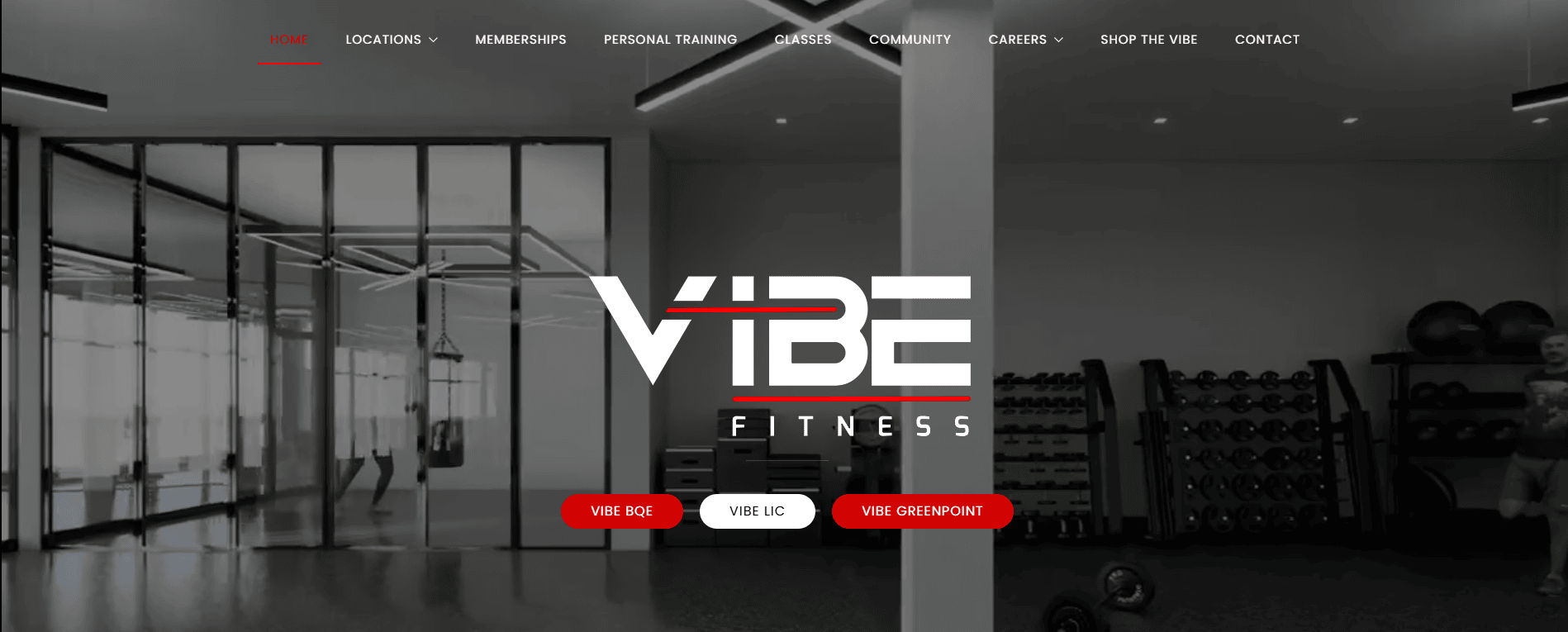 vibe fitness
