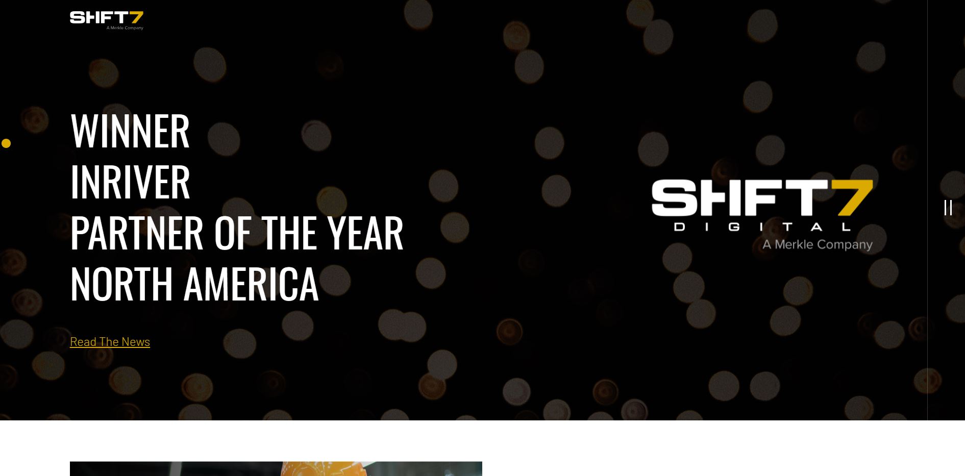 website design professional services