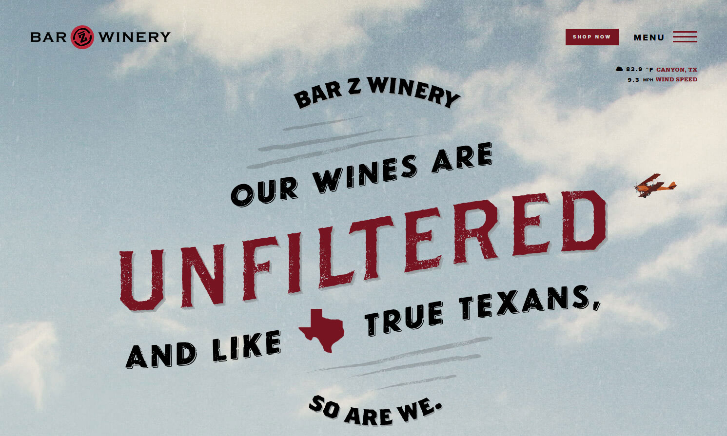 Small Business Website