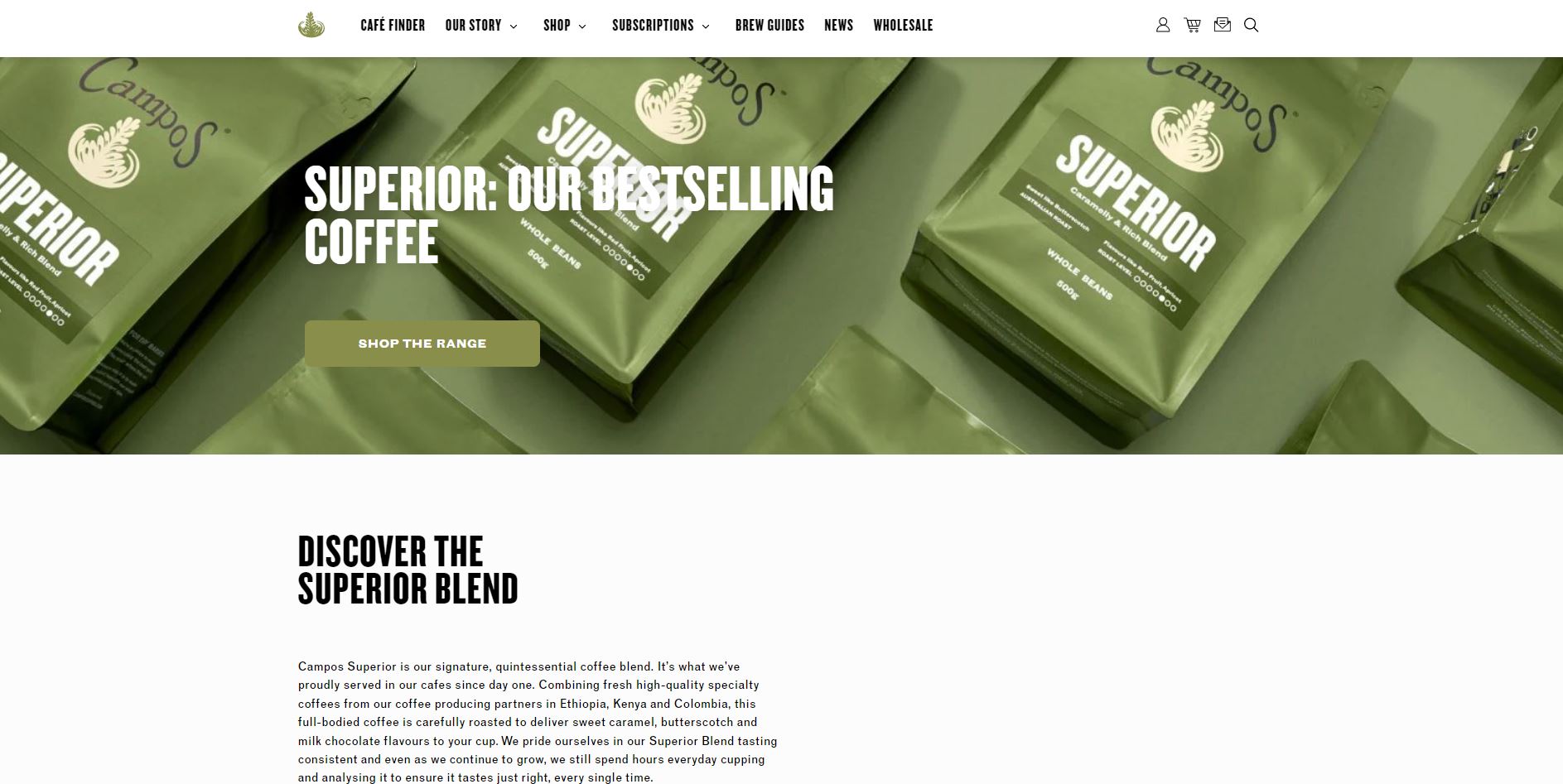 Best Small Business Websites