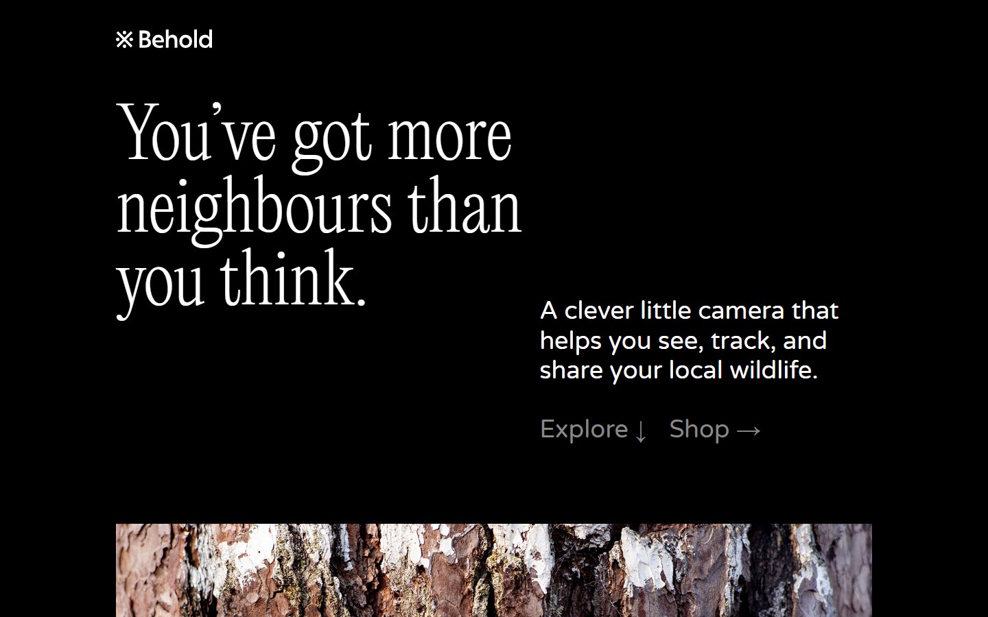 Best Tech Company Website Design