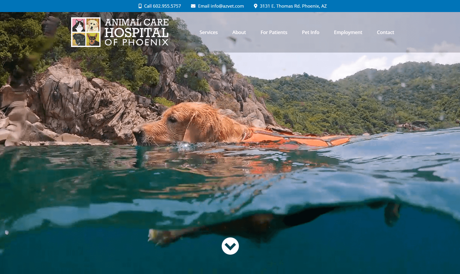 Animal Care Hospital of Phoenix