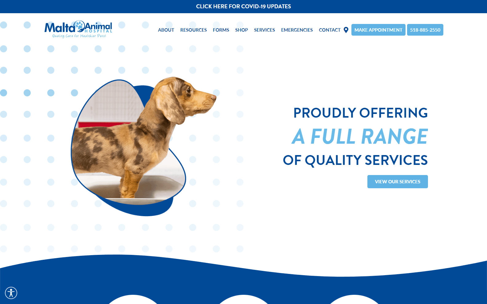 animals wellness website