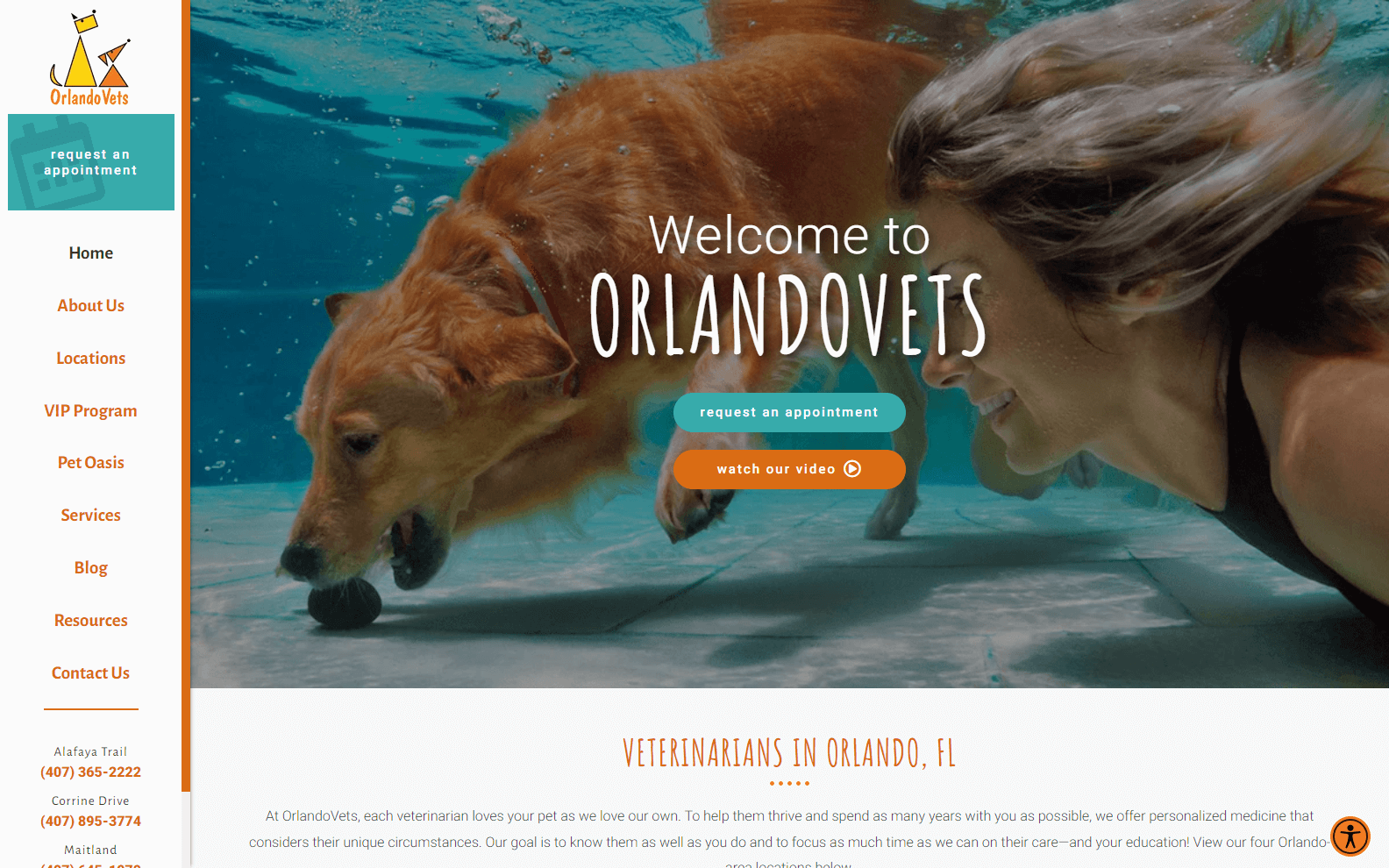 Website Design for Veterinarian