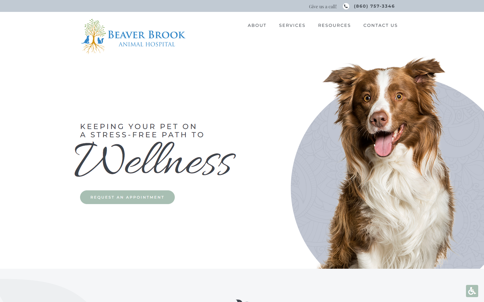 veterinary website designs