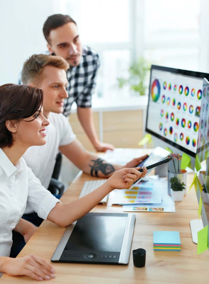 Complex Website Design & Development Florida