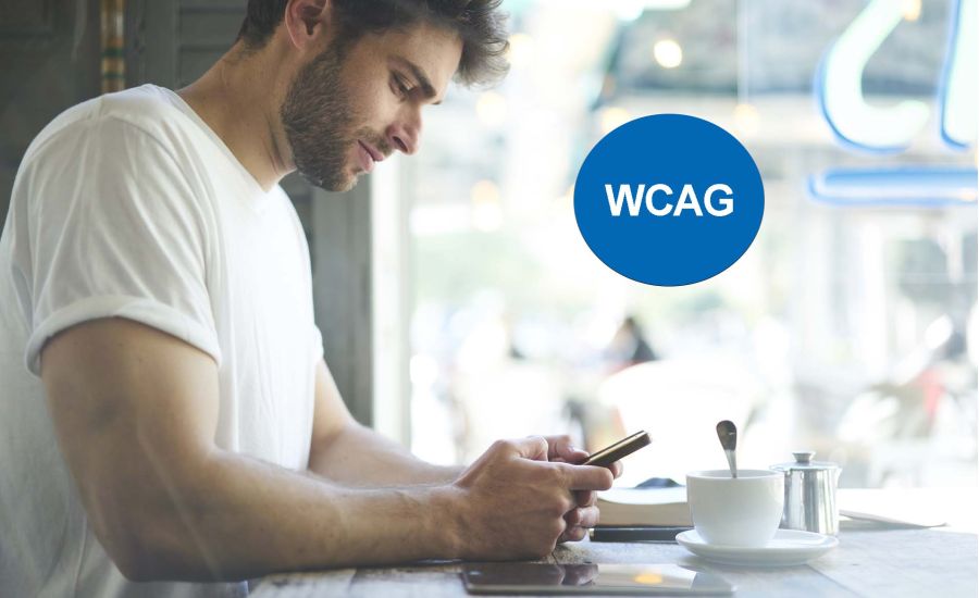 Web Content Accessibility Guidelines