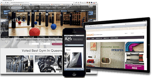 Website Design & Development Responsive Multi Device Example